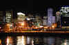 City-Skyline-2.JPG (228738 bytes)