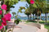 Miami-Scenery-2.JPG (399054 bytes)