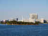 Miami-Scenery-6.JPG (217496 bytes)
