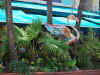 Miami-SouthBeach-Mango's.JPG (271610 bytes)