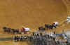 Rodeo-3.JPG (271735 bytes)